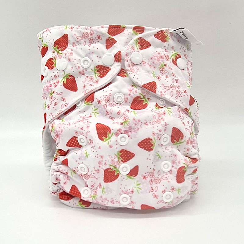 Couche lavable Te1 (Tout en Un) – Charlotte
