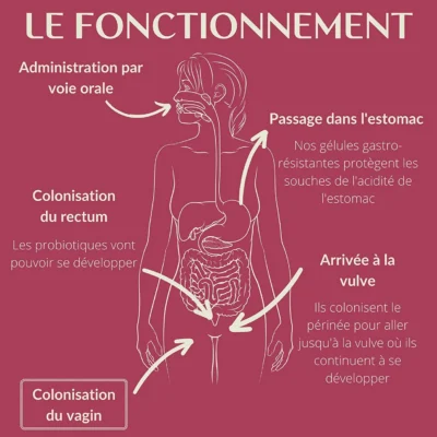 Probiotique flore intime – ENOVA