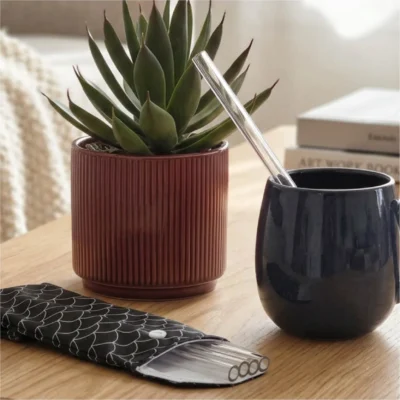 Lot de 4 pailles droites en verre + une pochette